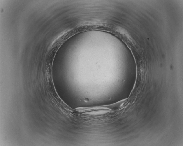 X0000078831064200611271251