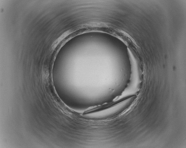 X0000078831065200611271251