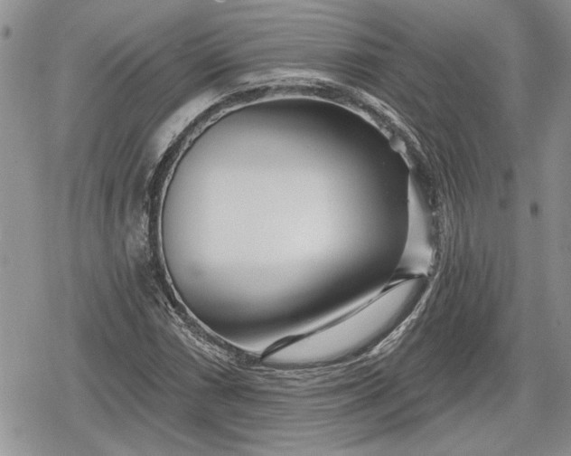 X0000078831066200611271251