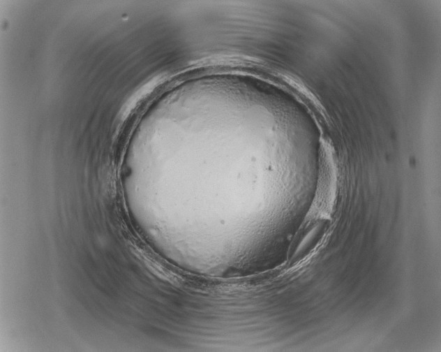 X0000078831067200611271251