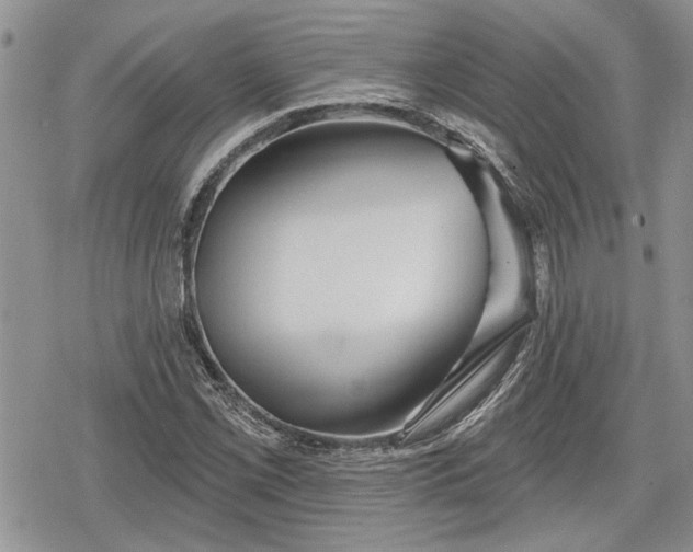 X0000078831069200611271251