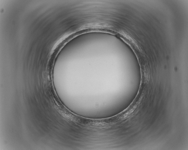 X0000078831070200611271251