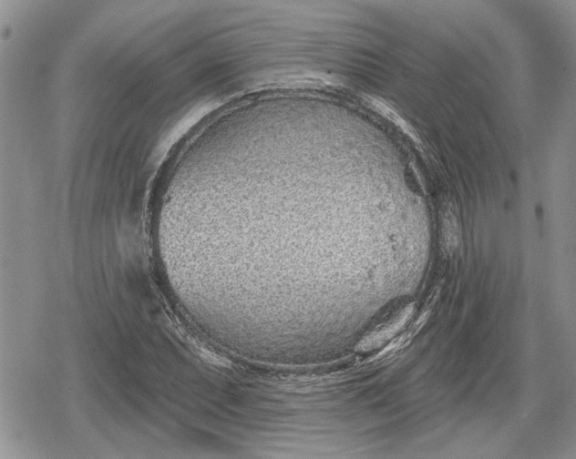 X0000078831071200611271251