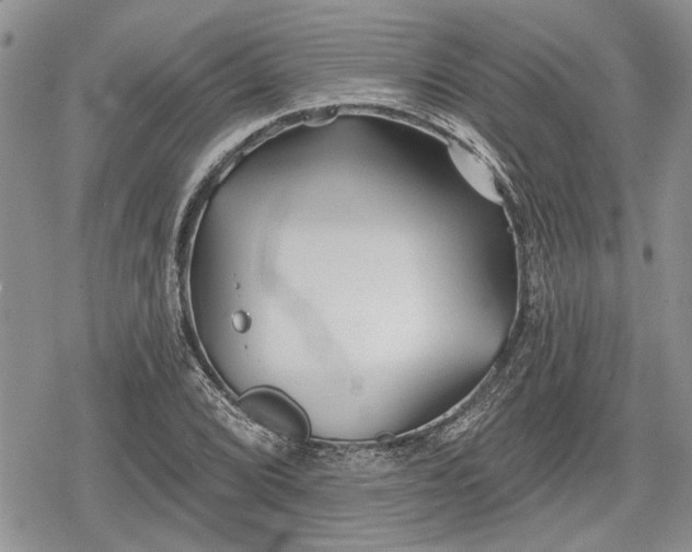 X0000078831072200611271251