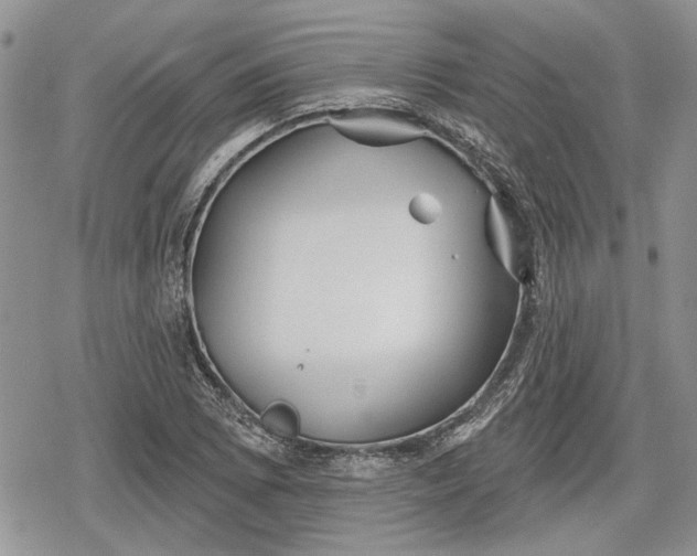 X0000078831073200611271251