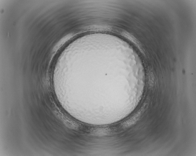 X0000078831074200611271251