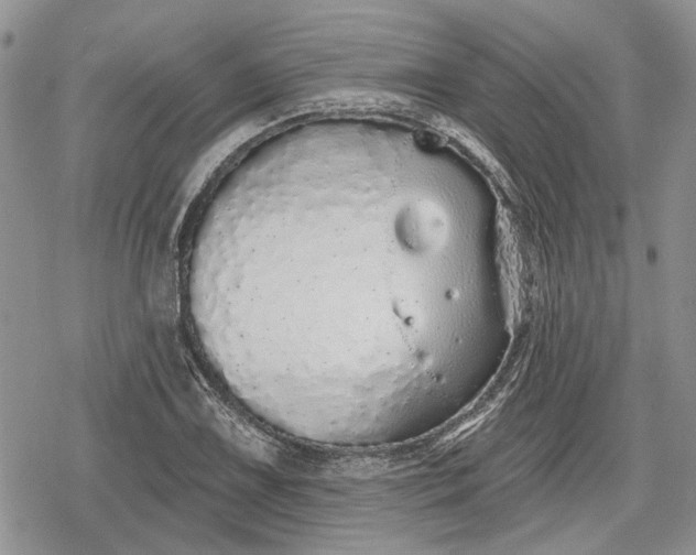 X0000078831075200611271251