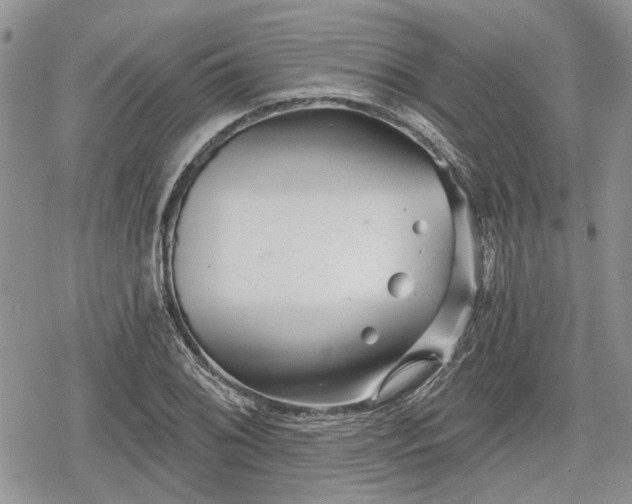 X0000078831076200611271251