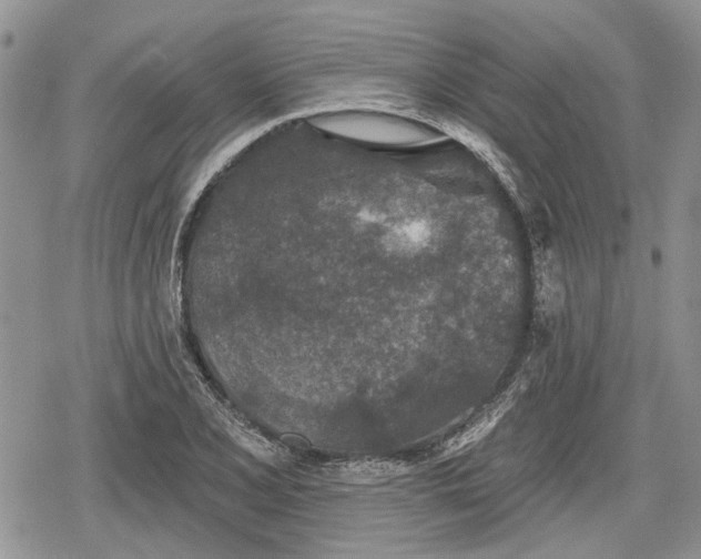 X0000078831077200611271251