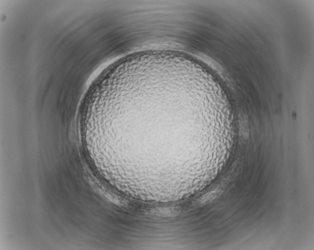 X0000078831078200611271251