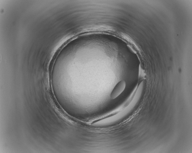 X0000078831079200611271251