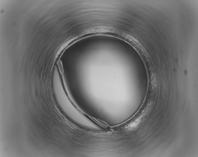 X0000078831081200611271251