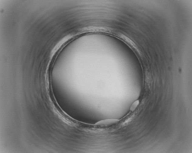 X0000078831082200611271251