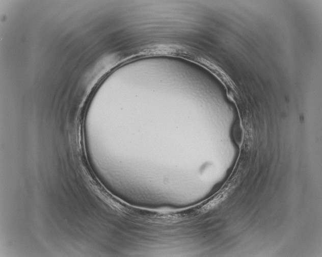 X0000078831083200611271251