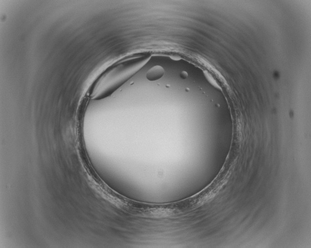 X0000078831085200611271251