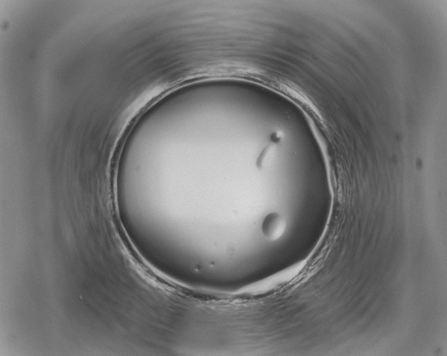 X0000078831087200611271251