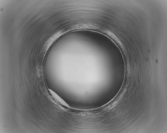 X0000078831089200611271251