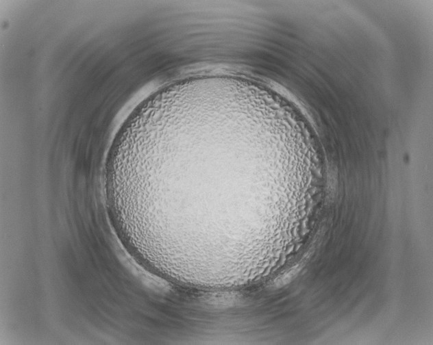 X0000078831090200611271251