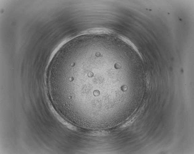 X0000078831091200611271251