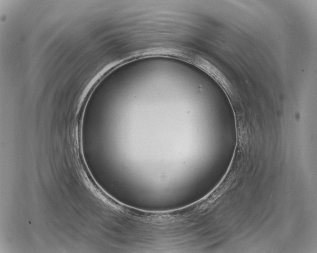 X0000078831092200611271251