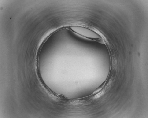 X0000078831093200611271251