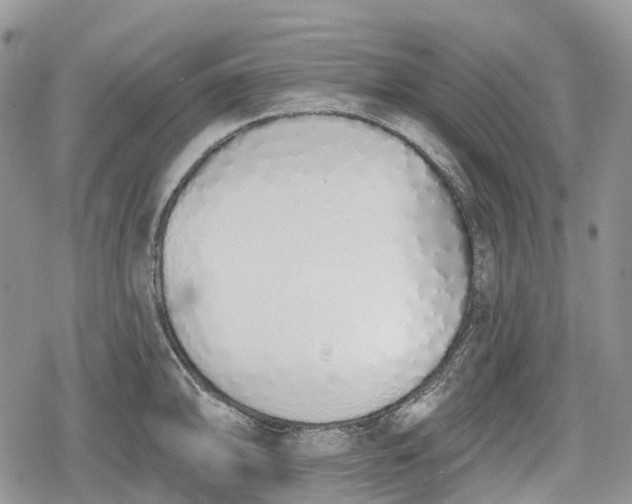 X0000078831094200611271251