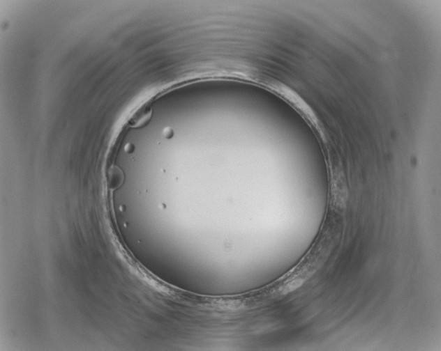 X0000078831096200611271251