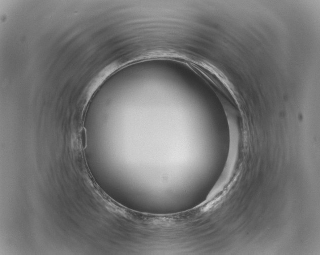 X0000078831097200611271251