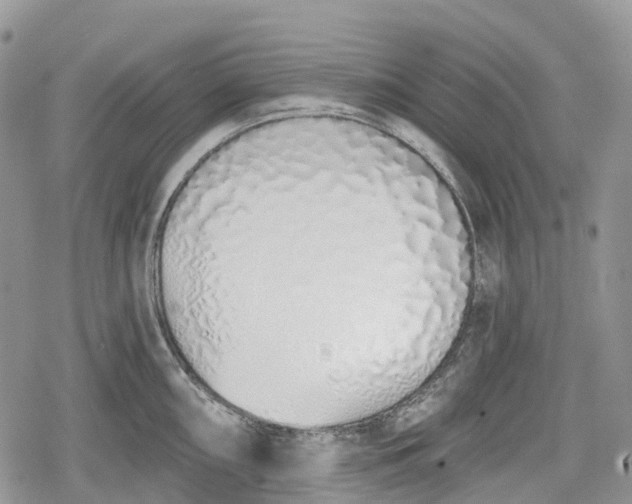 X0000078831098200611271251