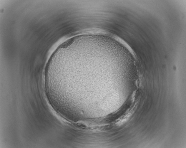 X0000078831099200611271251