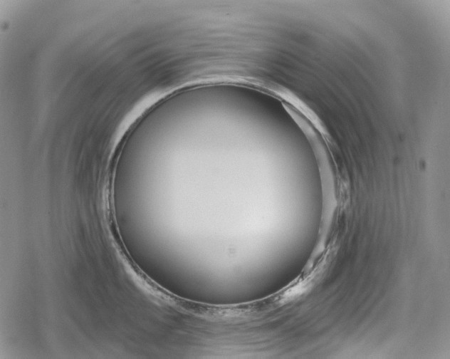 X0000078831101200611271251