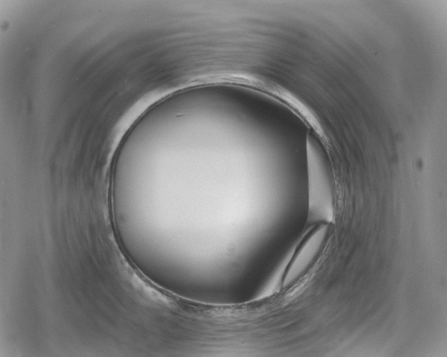 X0000078831102200611271251