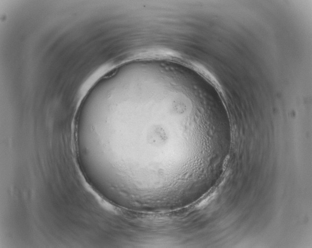 X0000078831103200611271251