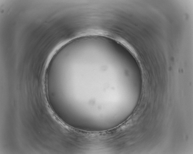 X0000078831104200611271251