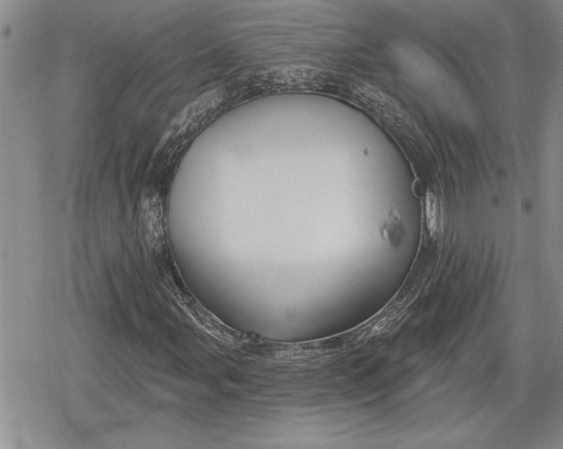 X0000078831107200611271250