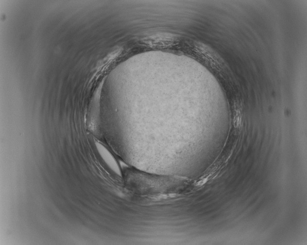 X0000078831108200611271250