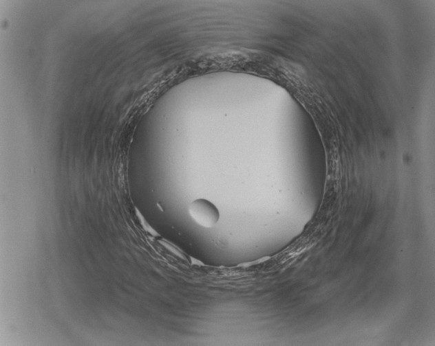 X0000078831109200611271250