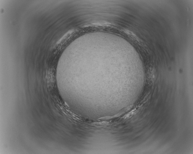 X0000078831110200611271250