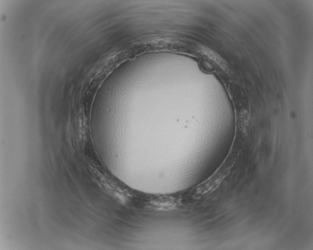 X0000078831111200611271250