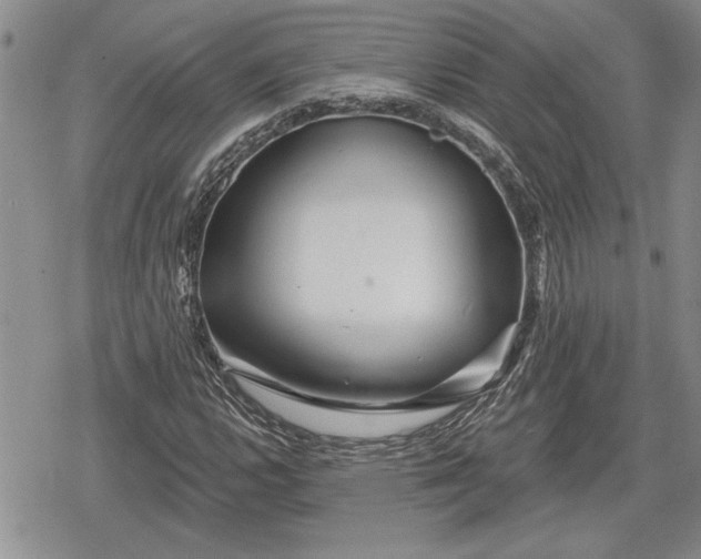 X0000078831112200611271250