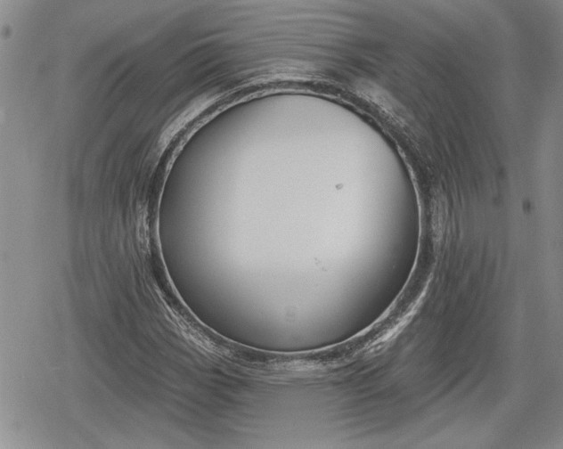 X0000078831113200611271250