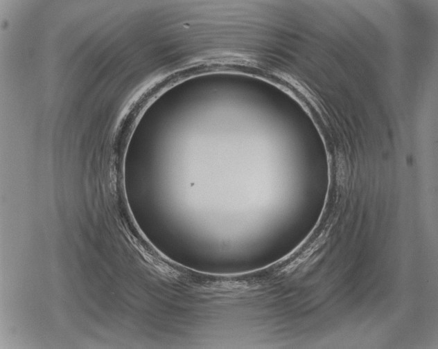 X0000078831115200611271250