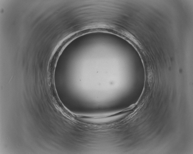 X0000078831116200611271250