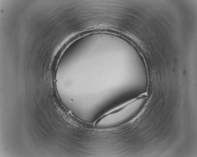 X0000078831118200611271250