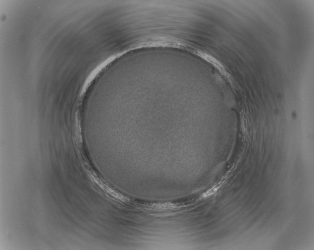 X0000078831120200611271250