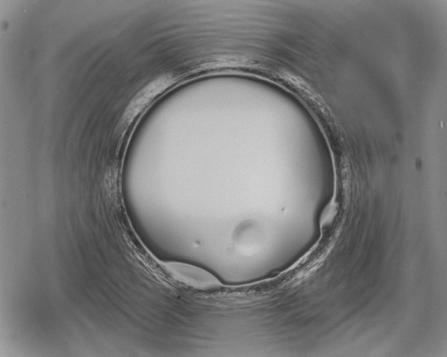 X0000078831121200611271250