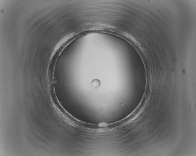 X0000078831122200611271250