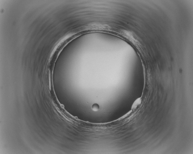 X0000078831123200611271250