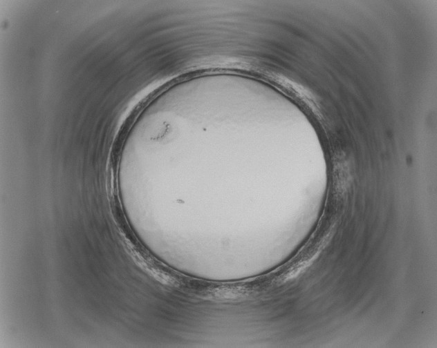 X0000078831125200611271250