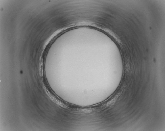 X0000078831126200611271250